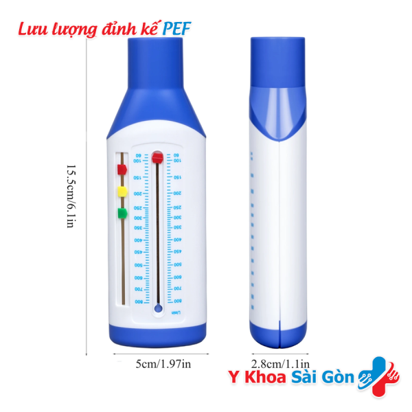 Peak Expiratory Flow